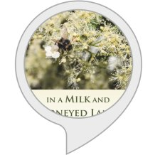 Alexa In a Milk and Honeyed Land icon