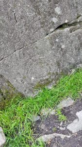 Rock art at Chapel Stile Boulders